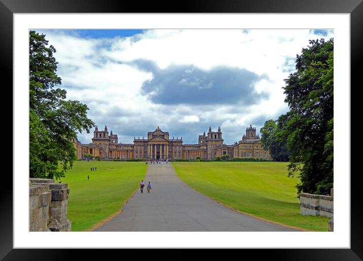 Grounds of Blenheim Palace Woodstock Oxfordshire England UK Framed Mounted Print by Andy Evans Photos