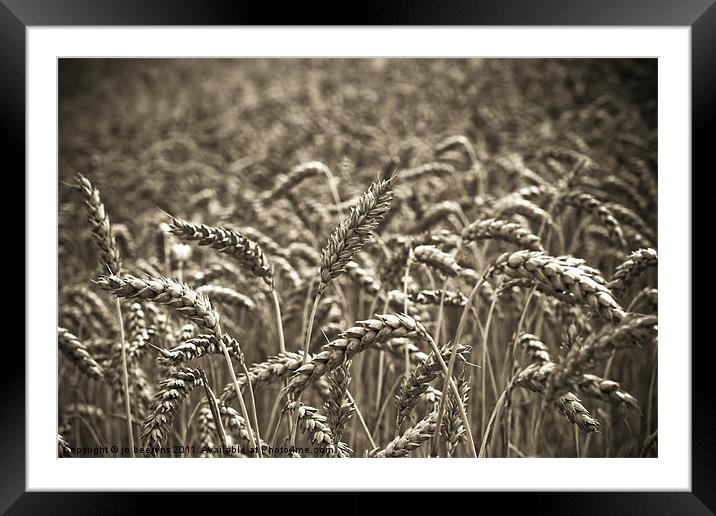 harvest time Framed Mounted Print by Jo Beerens