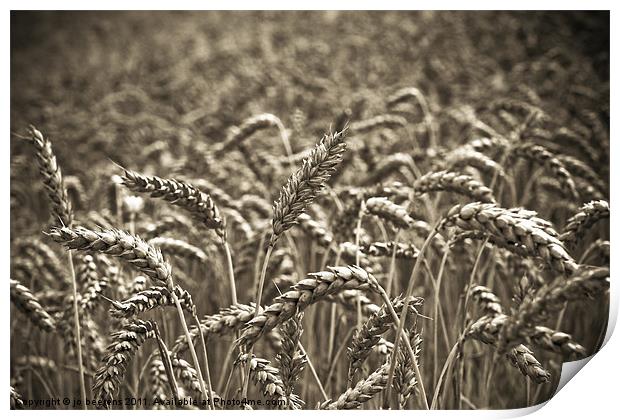 harvest time Print by Jo Beerens