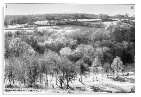 Dartmoor Hills Morning Infrared Acrylic by David Pyatt