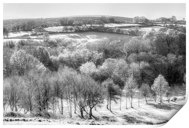 Dartmoor Hills Morning Infrared Print by David Pyatt