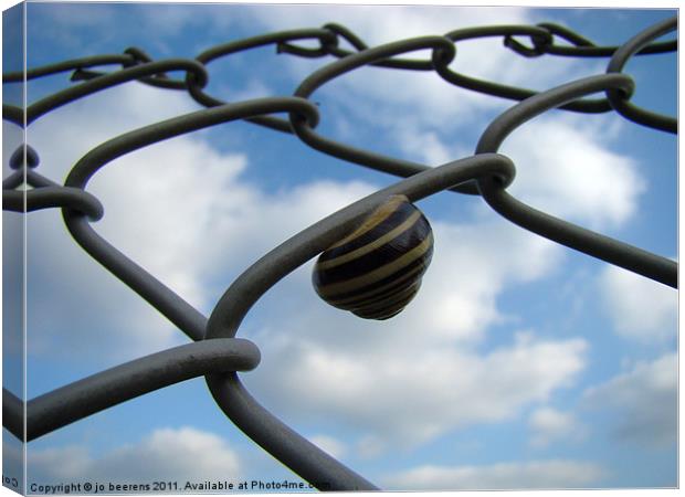 don't fence me in Canvas Print by Jo Beerens