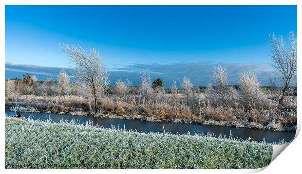 Frosty Morning in Moray Print by Tom McPherson