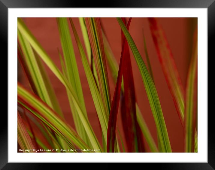 i can hear the grass grow Framed Mounted Print by Jo Beerens