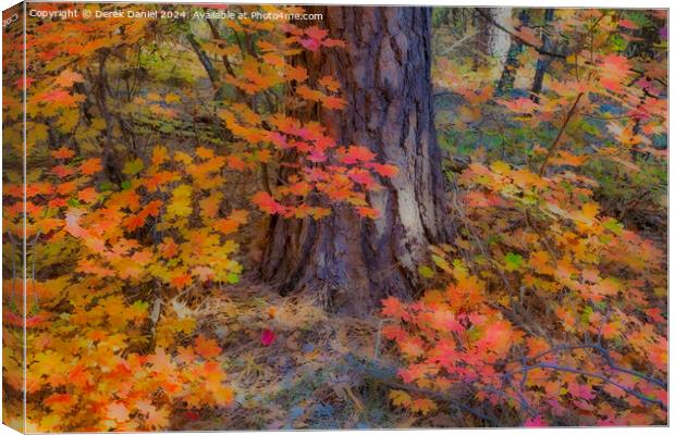 Autumn colours in Oak Creek Canyon, Sedona Canvas Print by Derek Daniel