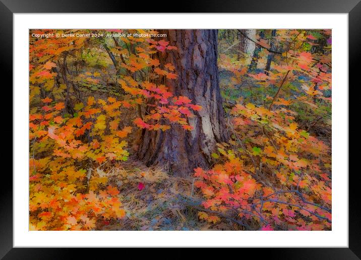 Autumn colours in Oak Creek Canyon, Sedona Framed Mounted Print by Derek Daniel