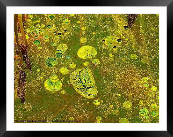 lemon on ice Framed Mounted Print by Jo Beerens