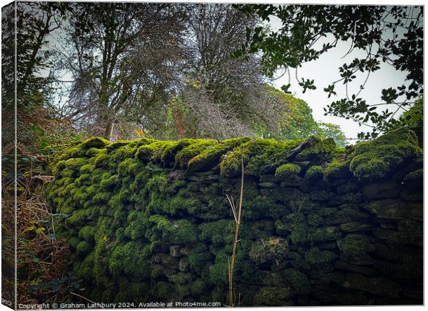 Moss Covered Wall Canvas Print by Graham Lathbury
