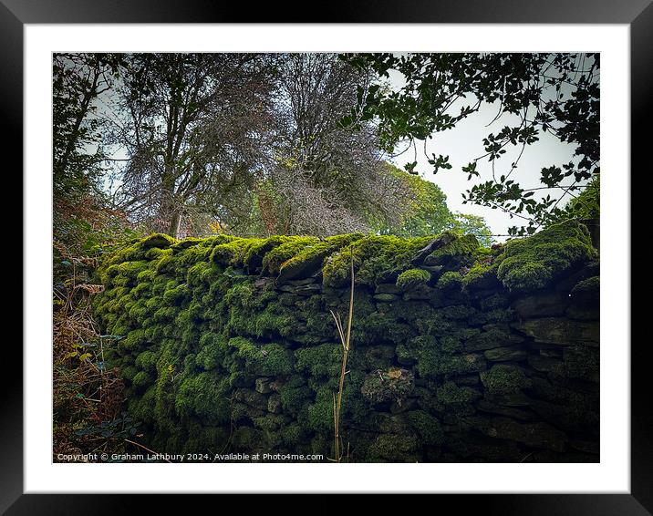 Moss Covered Wall Framed Mounted Print by Graham Lathbury
