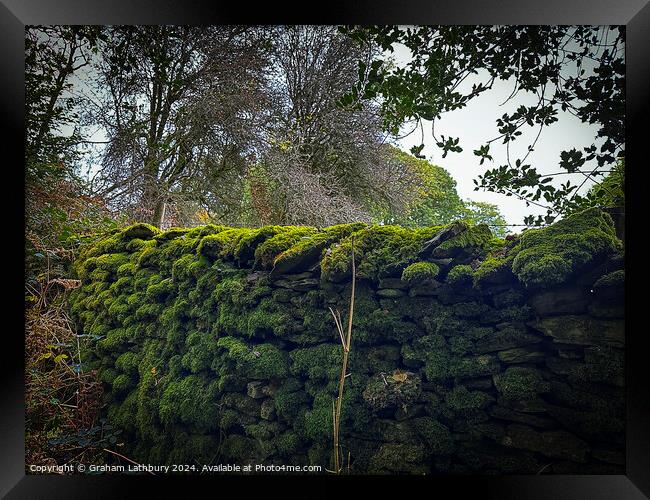 Moss Covered Wall Framed Print by Graham Lathbury