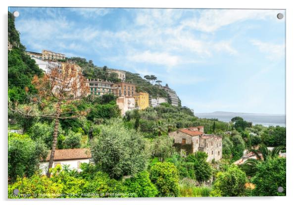 Sorrento and the Amalfi Coast Italy   Acrylic by Diana Mower