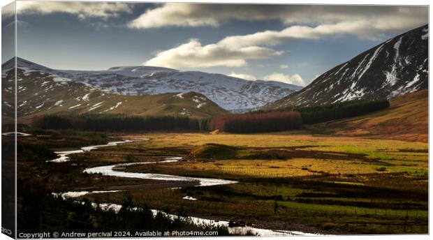 Highland photography  Canvas Print by Andrew percival