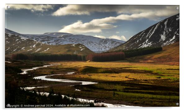 Highland photography  Acrylic by Andrew percival