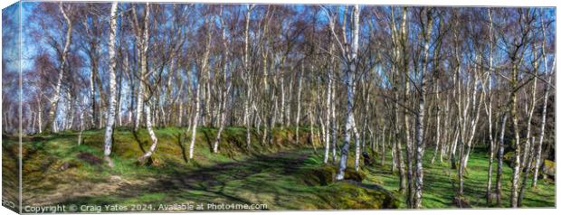 Bolehill Quarry Panoramic Peak District. Canvas Print by Craig Yates