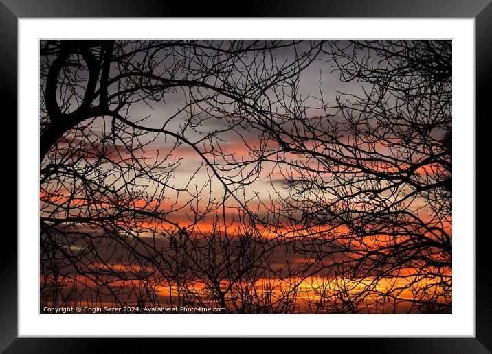 Bare tree branches in the sunset as abstract nature background Framed Mounted Print by Engin Sezer