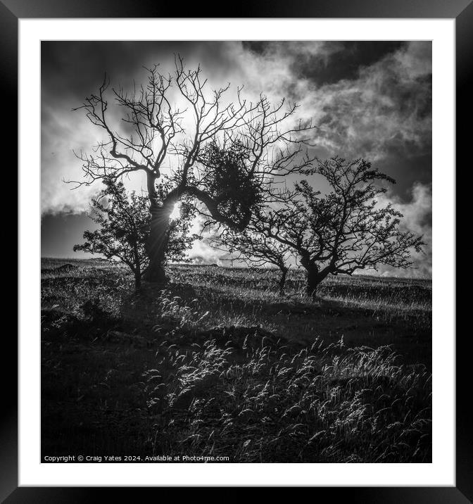 Wolfscote Dale Derbyshire Peak District black and  Framed Mounted Print by Craig Yates