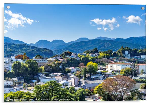 Castle City View Buildings Mountain Odawara Kanagawa Japan Acrylic by William Perry