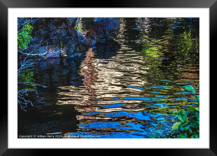Colorful Castle Moat Abstract Odawara Kanagawa Japan Framed Mounted Print by William Perry