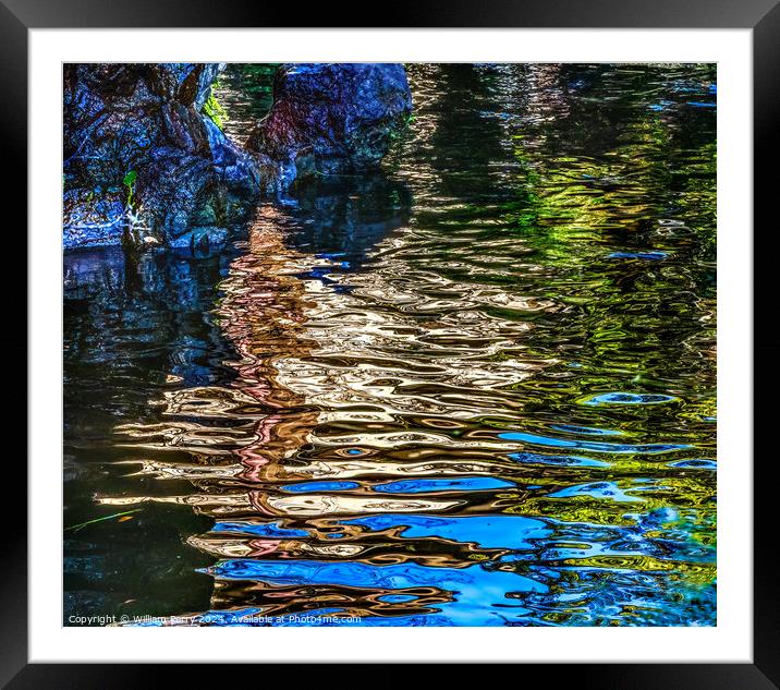 Colorful Castle Moat Abstract Odawara Kanagawa Japan Framed Mounted Print by William Perry