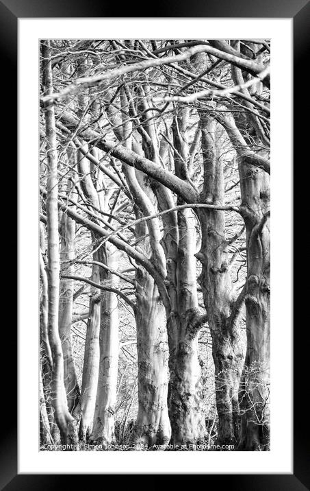 Patterns in nature Framed Mounted Print by Simon Johnson