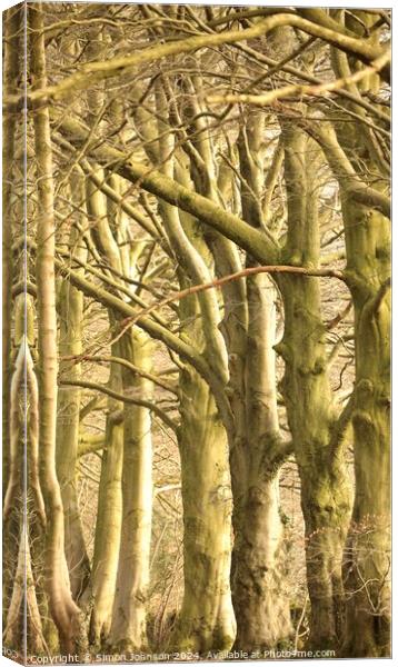 patterns in nature trees and branches Canvas Print by Simon Johnson