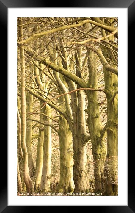 patterns in nature trees and branches Framed Mounted Print by Simon Johnson