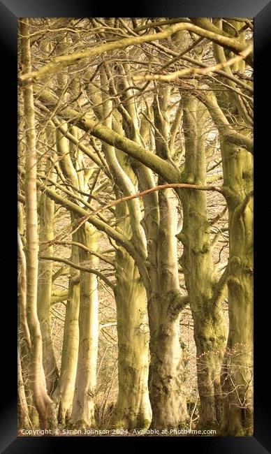 patterns in nature trees and branches Framed Print by Simon Johnson