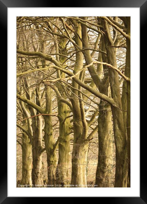  Tree patterns Framed Mounted Print by Simon Johnson