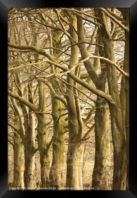  Tree patterns Framed Print by Simon Johnson