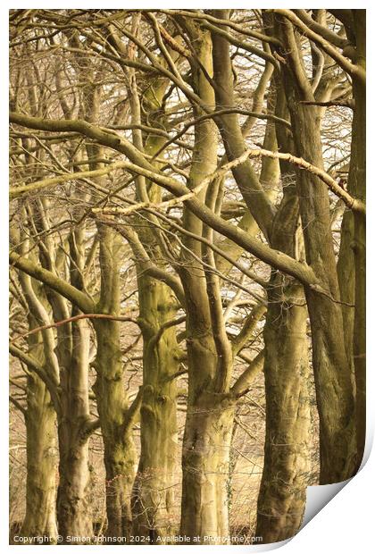  Tree patterns Print by Simon Johnson