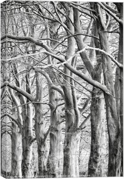 trees . (patterns in nature) Canvas Print by Simon Johnson