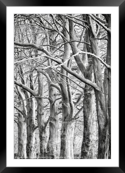 trees . (patterns in nature) Framed Mounted Print by Simon Johnson