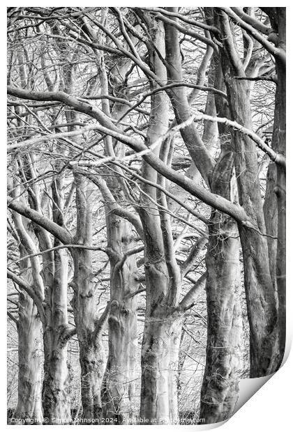 trees . (patterns in nature) Print by Simon Johnson