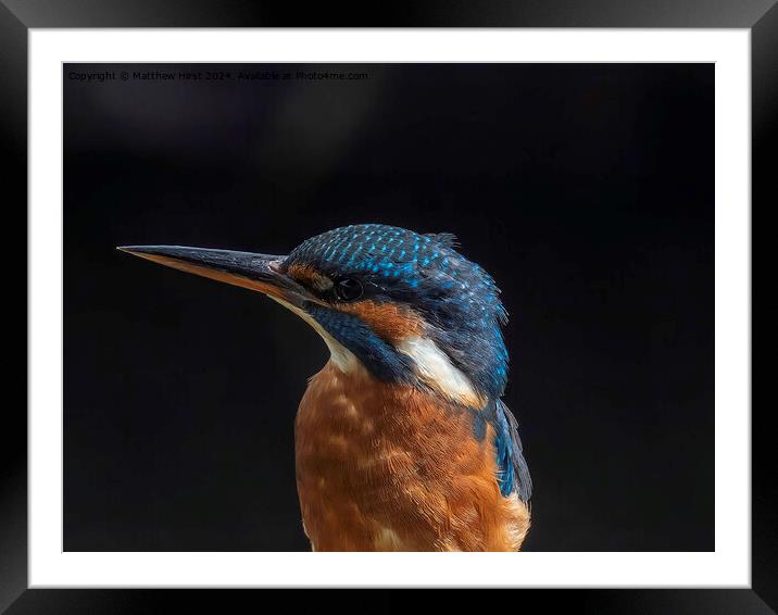 Kingfisher (closeup) Framed Mounted Print by Matthew Hirst