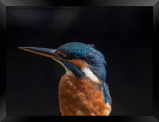 Kingfisher (closeup) Framed Print by Matthew Hirst