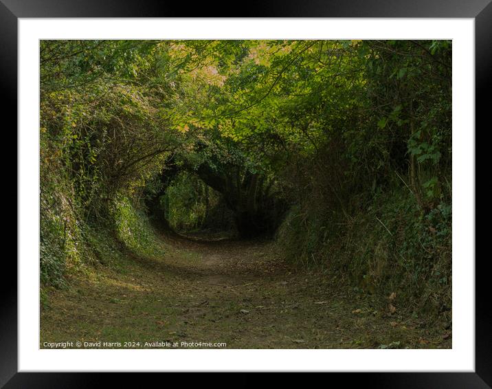 Hollow Way Framed Mounted Print by David Harris