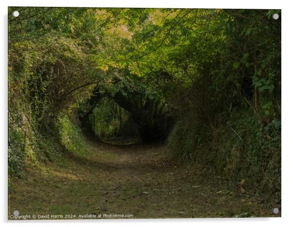 Hollow Way Acrylic by David Harris