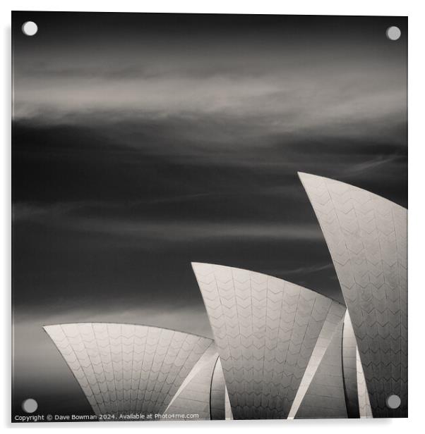 Sydney Opera House Acrylic by Dave Bowman