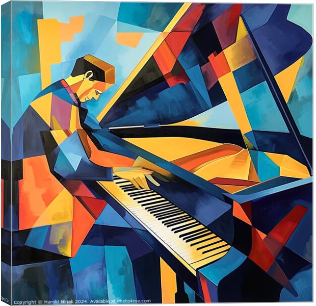 Piano Man Canvas Print by Harold Ninek