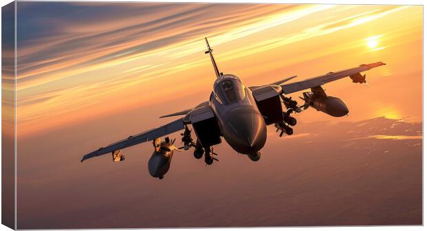 Panavia Tornado Canvas Print by Airborne Images