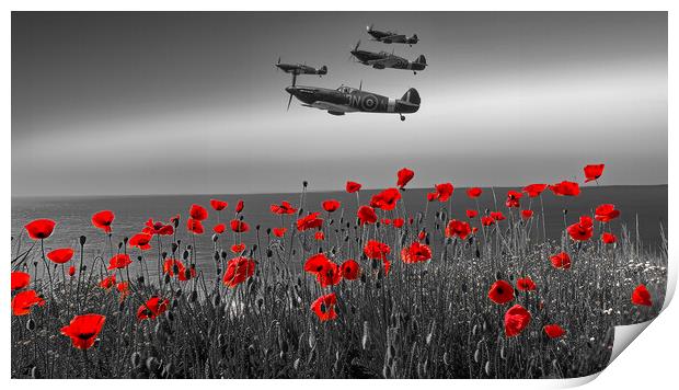 Flypast Print by Airborne Images