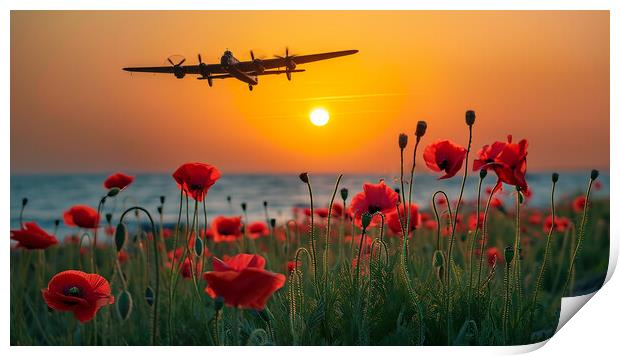 At The Going Down Of The Sun Print by Airborne Images