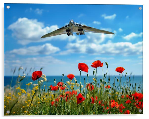 The Vulcan Poppy Field Acrylic by Airborne Images