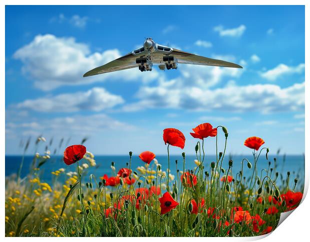 The Vulcan Poppy Field Print by Airborne Images