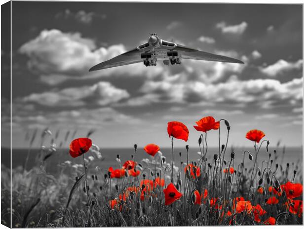 The Vulcan Poppy Field Canvas Print by Airborne Images