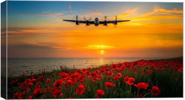Soon Be Home Canvas Print by Airborne Images