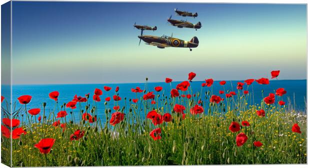 Flypast Canvas Print by Airborne Images