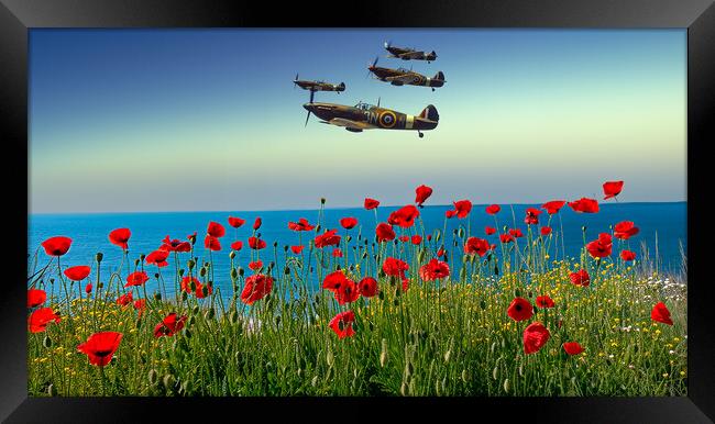 Flypast Framed Print by Airborne Images
