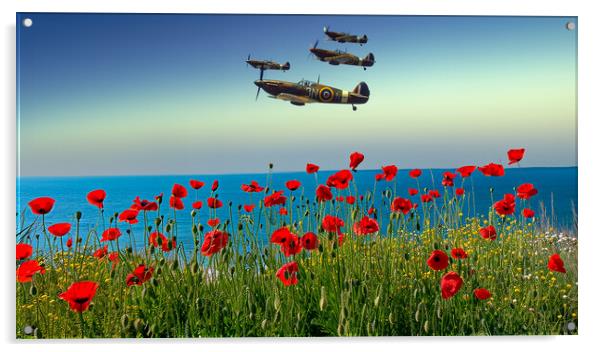 Flypast Acrylic by Airborne Images