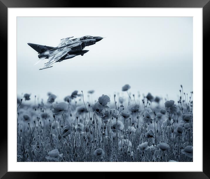 Panavia Tornado ADV Tribute Framed Mounted Print by Airborne Images